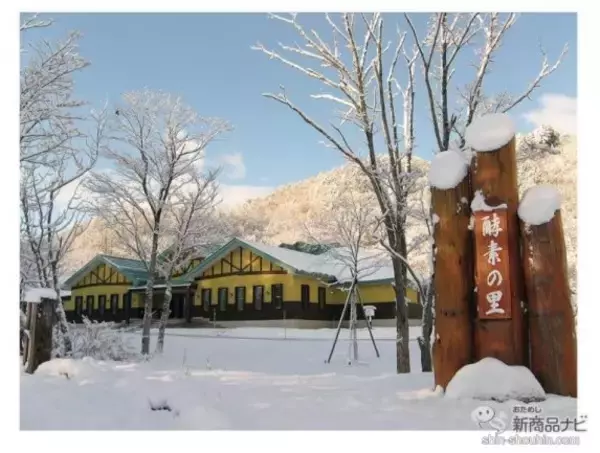 「「酵素のちから」で健康的に！ 忙しい人でも手軽に摂れる今注目の発酵食品『あもう酵素77』で体の内部から綺麗にしよう」の画像