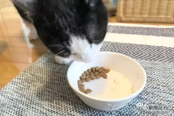 「計算され尽くした栄養バランス！ 『ビューティープロ キャット Wケア』『ビューティープロ キャット パウチ』で愛猫の健康を支えよう！」の画像