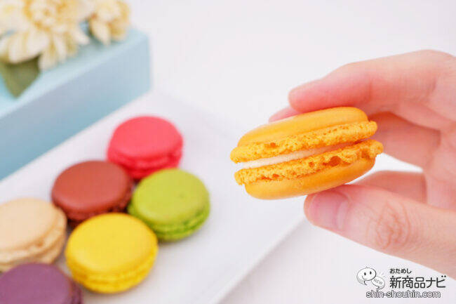 夏の贈り物にダロワイヨの『ジュレ マカロン アン／ジュレ マカロン ドゥ』を贈ろう