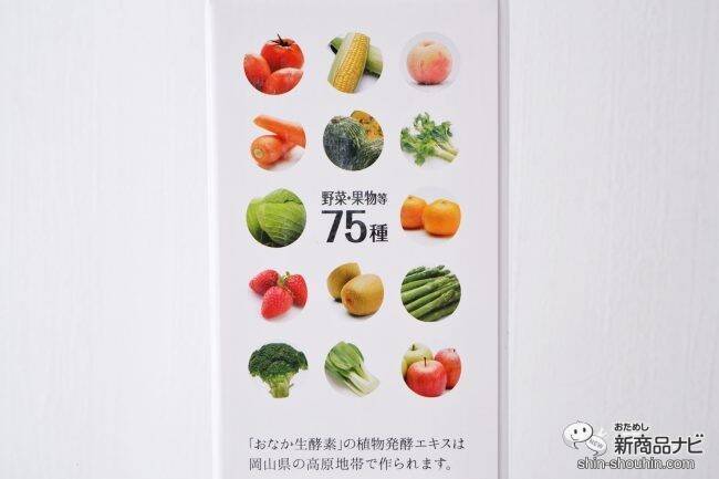 【置き換えダイエットやファスティングにも】『さくらえおなか生酵素』を毎日の習慣に取り入れて美容と健康意識を高めよう！