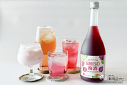 他にはない個性派梅酒！ しそやかな香りの『TAN TAKA TAN SHISO梅酒』で、いろいろなアレンジを楽しもう