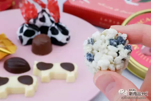 「【イオン限定】バレンタインに、可愛いうしさんとカカオモチーフの『ミルクとカカオ』シリーズを」の画像