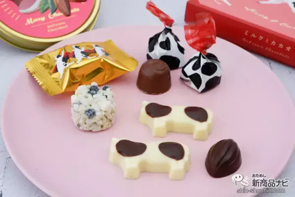 「【イオン限定】バレンタインに、可愛いうしさんとカカオモチーフの『ミルクとカカオ』シリーズを」の画像