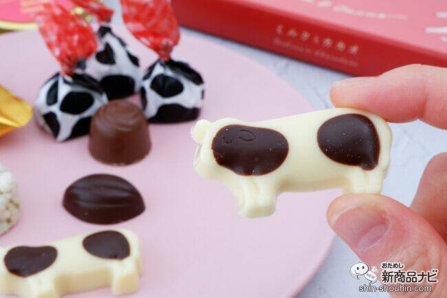 【イオン限定】バレンタインに、可愛いうしさんとカカオモチーフの『ミルクとカカオ』シリーズを