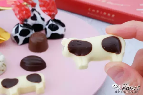 「【イオン限定】バレンタインに、可愛いうしさんとカカオモチーフの『ミルクとカカオ』シリーズを」の画像