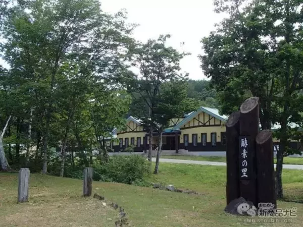 「特許取得の酵素製造会社、株式会社日本自然発酵の人気商品『あもう酵素77』で快適な毎日を過ごそう♪」の画像