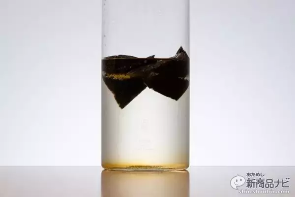 「アイスでもホットでも！つけっぱなしでも渋くならない『森半 まろやか 緑茶ティーバッグ・まろやか ほうじ茶ティーバッグ』」の画像