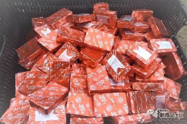 「『2019 ユニセフカップ にしのみや甲子園ハーフマラソン』にロルフが初参加！ ベビーチーズ サンプリング＆贈呈式でランナーたちへエールを送る！」の画像