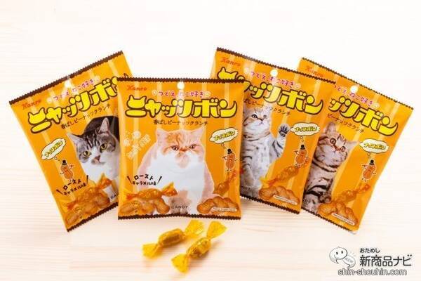 猫の日専用おやつ カンロ ナッツボン が ニャッツボン になって期間限定発売 年2月10日 エキサイトニュース