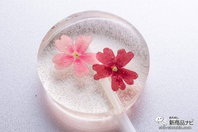 【2020年母の日ギフト特集】お花もいいけど、たまには違うものを渡したい！お母さんの好きなもの別おすすめアイテム4選