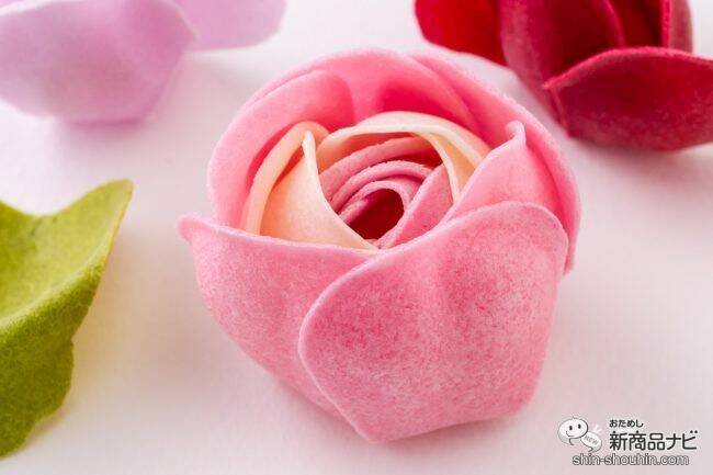 【2020年母の日ギフト特集】お花もいいけど、たまには違うものを渡したい！お母さんの好きなもの別おすすめアイテム4選