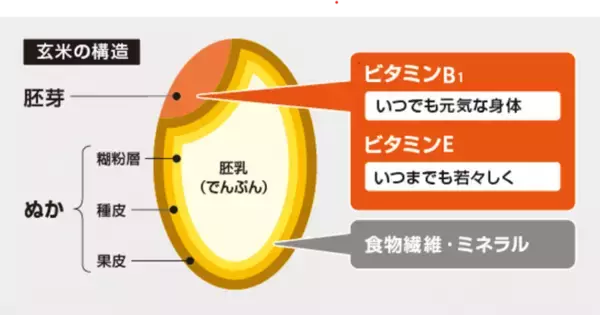 「自宅で手軽に玄米を食べよう！『YAMAMOTO 精米機 Shin Bisen YE-RC17A』で玄米の精米に挑戦！」の画像