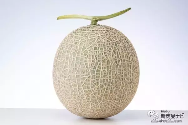 「冬に食べられる甘～いメロン!! 贈答用にもぴったり『宮古島メロン』の美味しさに感動が止まらない！」の画像