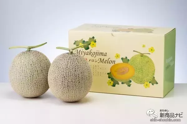 「冬に食べられる甘～いメロン!! 贈答用にもぴったり『宮古島メロン』の美味しさに感動が止まらない！」の画像