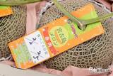 「冬に食べられる甘～いメロン!! 贈答用にもぴったり『宮古島メロン』の美味しさに感動が止まらない！」の画像6