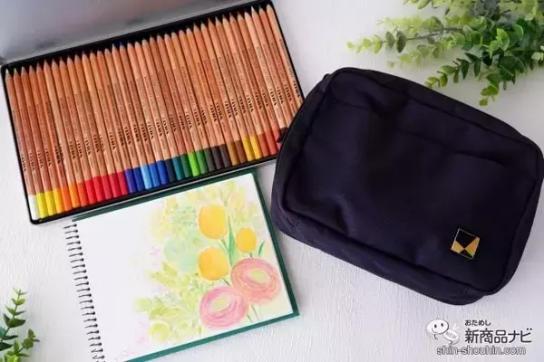 「TVでも大人気の野村先生監修『色えんぴつ画スターターセット』で新しい趣味にチャレンジしよう！」の画像