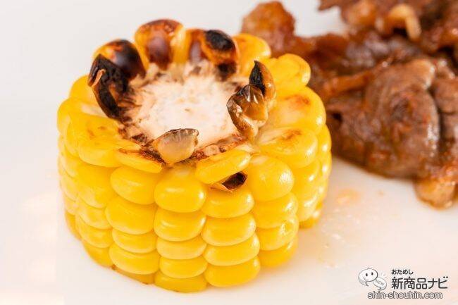 おうちで焼肉を思いっきり楽しんじゃおう！ 煙やニオイを気にせず使える 『アラジン グラファイトグリラー』のお肉を柔らかく美味しく焼ける秘訣とは… !?