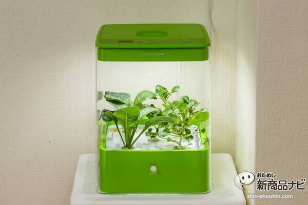 水耕栽培器 Green Farm Cube グリーンファームキューブ はインテリア感覚 1ヵ月で野菜を収穫できる 15年3月26日 エキサイトニュース