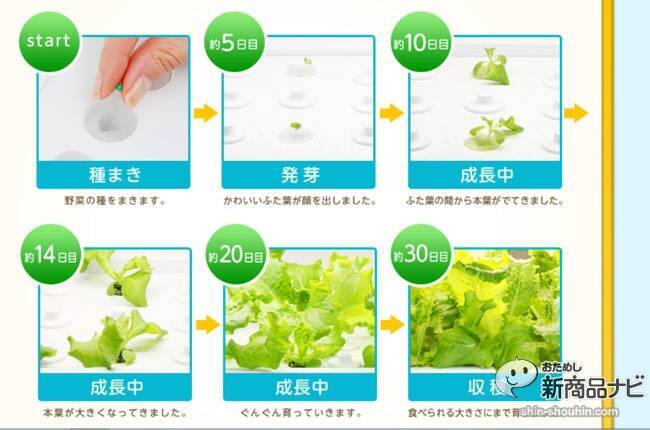 水耕栽培器 Green Farm Cube グリーンファームキューブ はインテリア感覚 1ヵ月で野菜を収穫できる 15年3月26日 エキサイトニュース