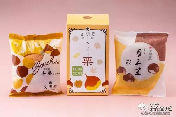 【季節限定】秋の味覚といえば栗！ 文明堂の『栗カステラ・月三笠 栗・ブッセ 和栗クリーム』を楽しんでみた！