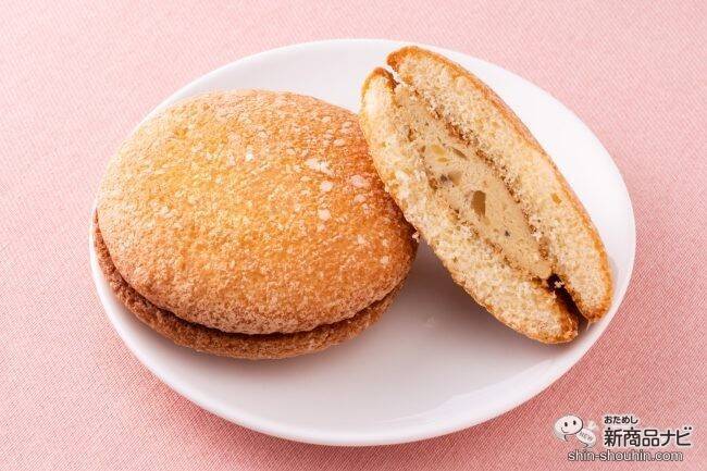 【季節限定】秋の味覚といえば栗！ 文明堂の『栗カステラ・月三笠 栗・ブッセ 和栗クリーム』を楽しんでみた！