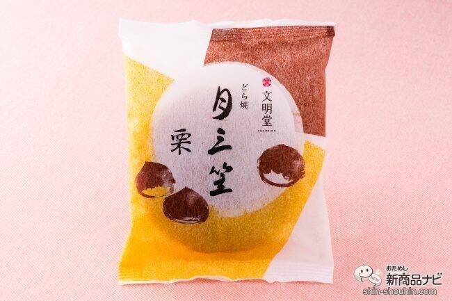 【季節限定】秋の味覚といえば栗！ 文明堂の『栗カステラ・月三笠 栗・ブッセ 和栗クリーム』を楽しんでみた！