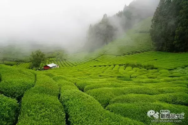 「『一〇八抹茶茶廊 ルミネ北千住店』が10/1オープン！ こだわりのオーガニック抹茶やメニューを紹介！」の画像