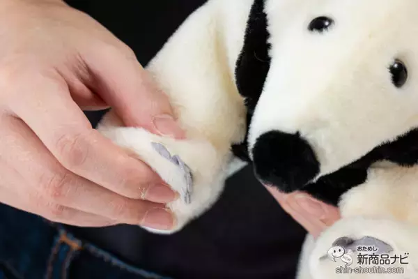 「まさかのアリクイの動くぬいぐるみ！ キュートな『コアリクイのミナミちゃん』をおためし♪」の画像