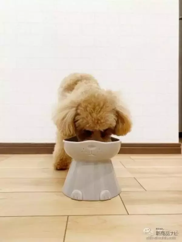 「愛犬に健康的な食生活を！ こだわり素材を使用した『プレミアムドックフード ベストモーション 超小型～小型犬用』でワンちゃんのお悩みをサポート！」の画像