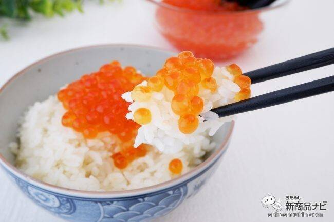 北海道の海の幸！ 天然鮭の筋子を使った『北海道産新物 2023年 いくら醤油漬け』をご飯のおともに