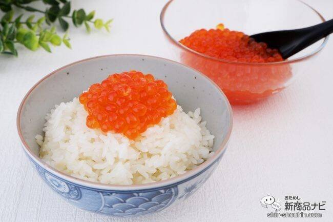 北海道の海の幸！ 天然鮭の筋子を使った『北海道産新物 2023年 いくら醤油漬け』をご飯のおともに