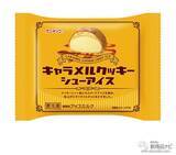 「『ファミリーマート・今週の新商品情報』Twitter人気投票1位！『チョコ好きによるチョコ好きのためのチョコレートシュー』やプリングルズNo.1人気とコラボ『ファミチキ（サワークリーム＆オニオン味）』ほか」の画像13