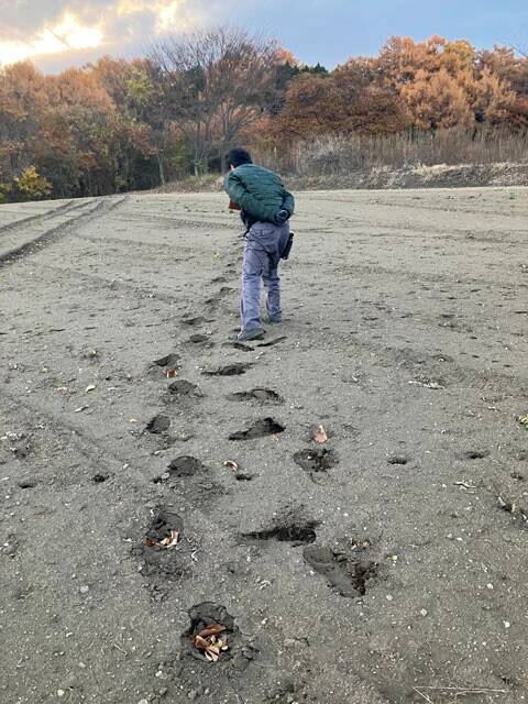 クマ被害拡大の日本を救う"公務員ハンター"を直撃!?「ほぼ丸腰同然です。正直、怖い」