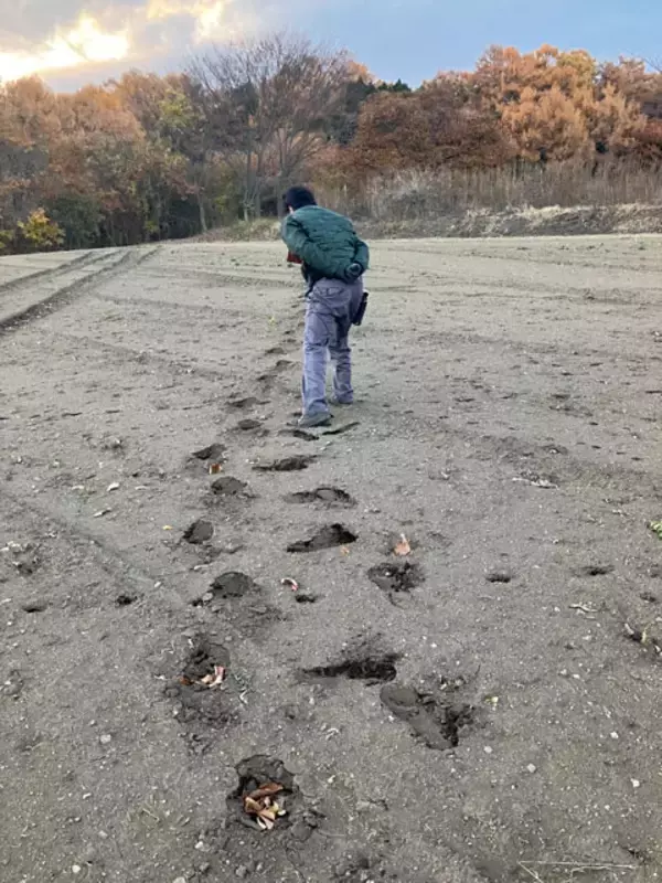 「クマ被害拡大の日本を救う"公務員ハンター"を直撃!?「ほぼ丸腰同然です。正直、怖い」」の画像