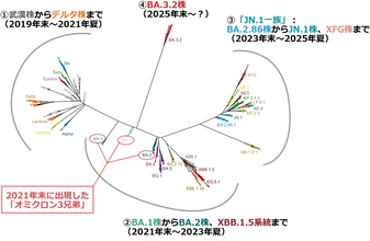 新たな変異株が流行の兆し!?　蝉とバギーとBA.3.2（後編）【「新型コロナウイルス学者」の平凡な日常】
