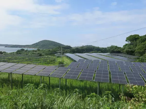 【現地ルポ】島の1割を覆う約150万枚の太陽光パネルを設置予定！　「日本最大の発電島」長崎県・宇久島（前編）