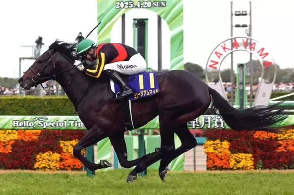 「有馬記念「万馬券」をふたりの馬券名人が渾身の予想！　23歳のジョッキーに大波乱の予感？」の画像