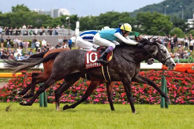有馬記念「万馬券」をふたりの馬券名人が渾身の予想！　23歳のジョッキーに大波乱の予感？