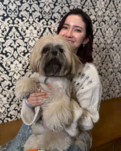 市川紗椰、人生2周目の犬・シーズーと暮らして30年