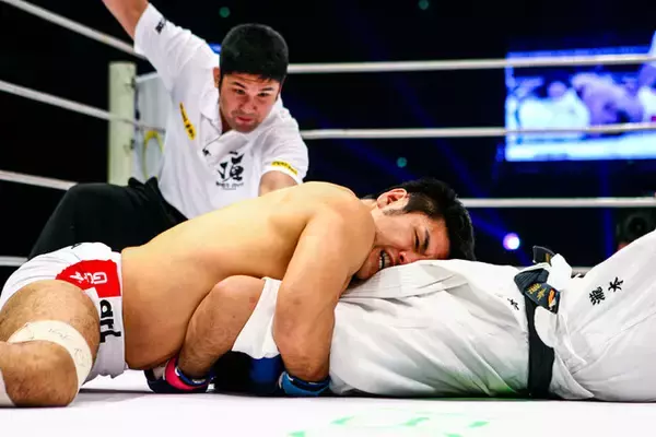 「中学3年でベンチプレス135㎏。〝練馬の神童〟菊田早苗の柔道家時代」の画像