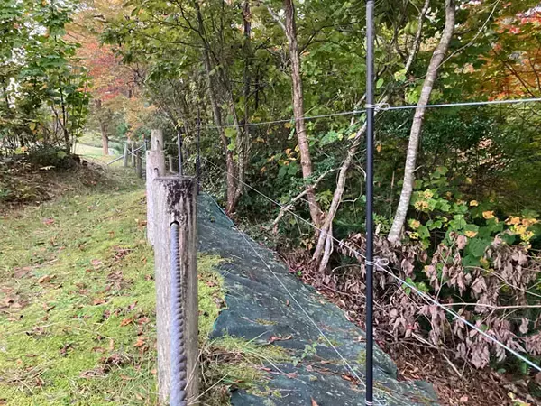 「クマ出没で住民同士がまさかの対立...。東北「恐怖のアーバンベア」狂騒曲」の画像
