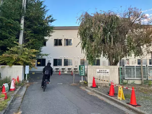 「クマ出没で住民同士がまさかの対立...。東北「恐怖のアーバンベア」狂騒曲」の画像