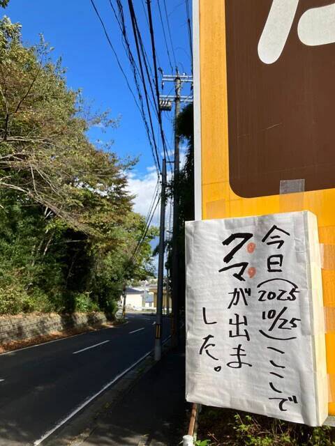 クマ出没で住民同士がまさかの対立...。東北「恐怖のアーバンベア」狂騒曲