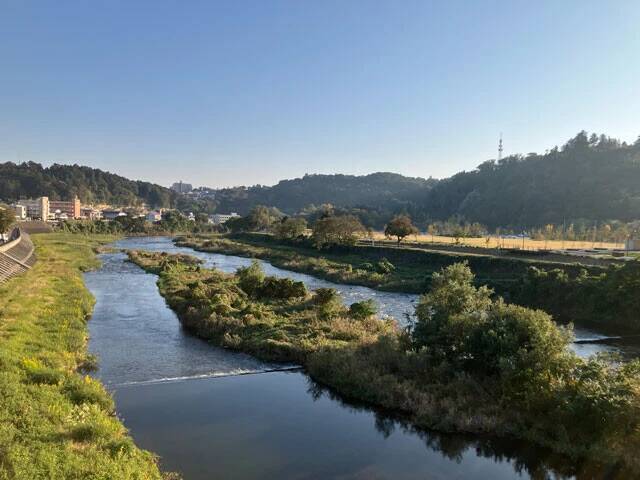 クマ出没で住民同士がまさかの対立...。東北「恐怖のアーバンベア」狂騒曲