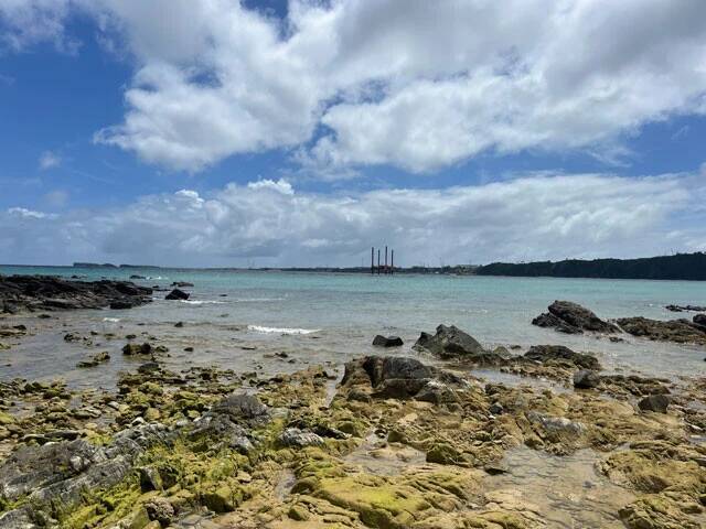 "争点だらけ"の沖縄県知事選、全候補者に突撃！　米軍基地の辺野古移設、全国最低水準の所得改善、鉄軌道の実現......
