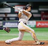 「【プロ野球2026 パ・リーグ展望】春季キャンプも大盛況！ "エース電撃移籍"で揺れる「因縁の2強対決」の行方は!?」の画像3