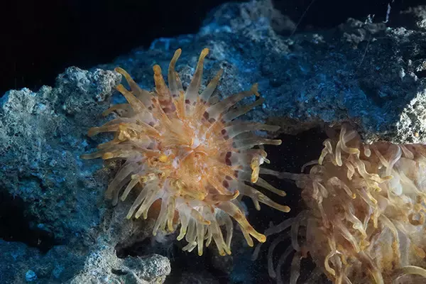 「日本一水族館に通い詰める研究者が厳選した「死ぬまでに一度行くべき水族館」」の画像
