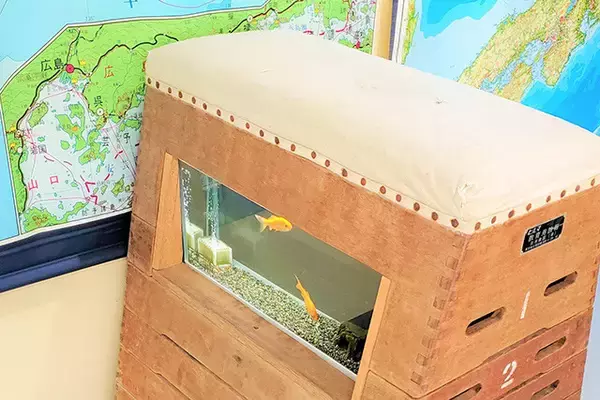 「日本一水族館に通い詰める研究者が厳選した「死ぬまでに一度行くべき水族館」」の画像