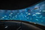 「日本一水族館に通い詰める研究者が厳選した「死ぬまでに一度行くべき水族館」」の画像20
