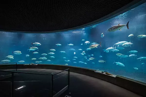 「日本一水族館に通い詰める研究者が厳選した「死ぬまでに一度行くべき水族館」」の画像